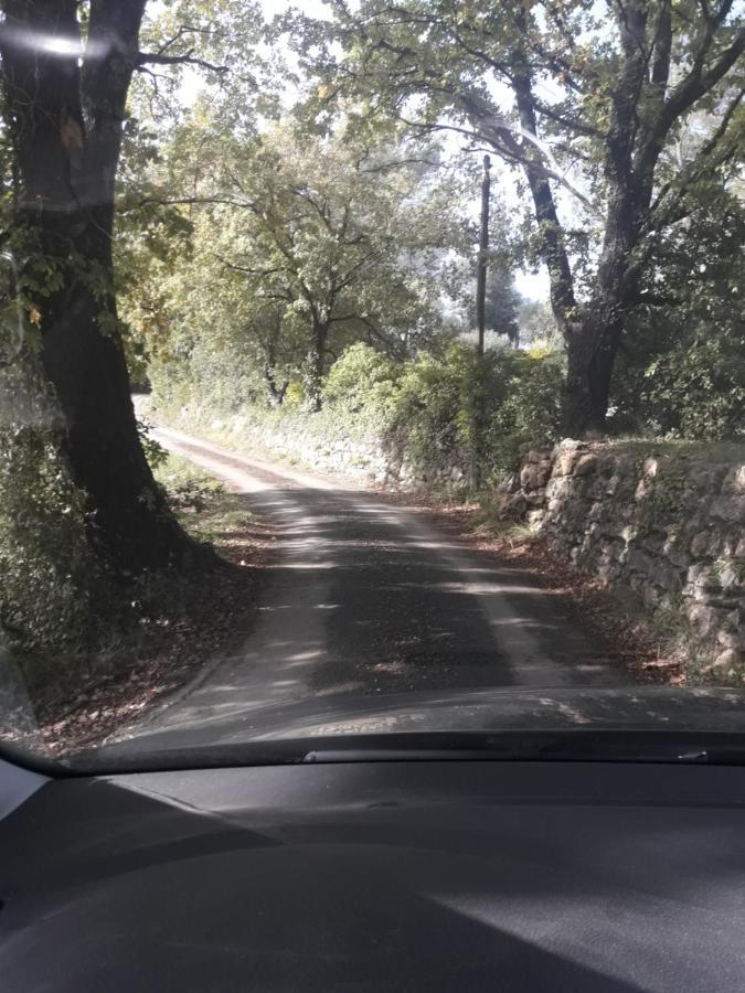 לורג Villa Catharina מראה חיצוני תמונה
