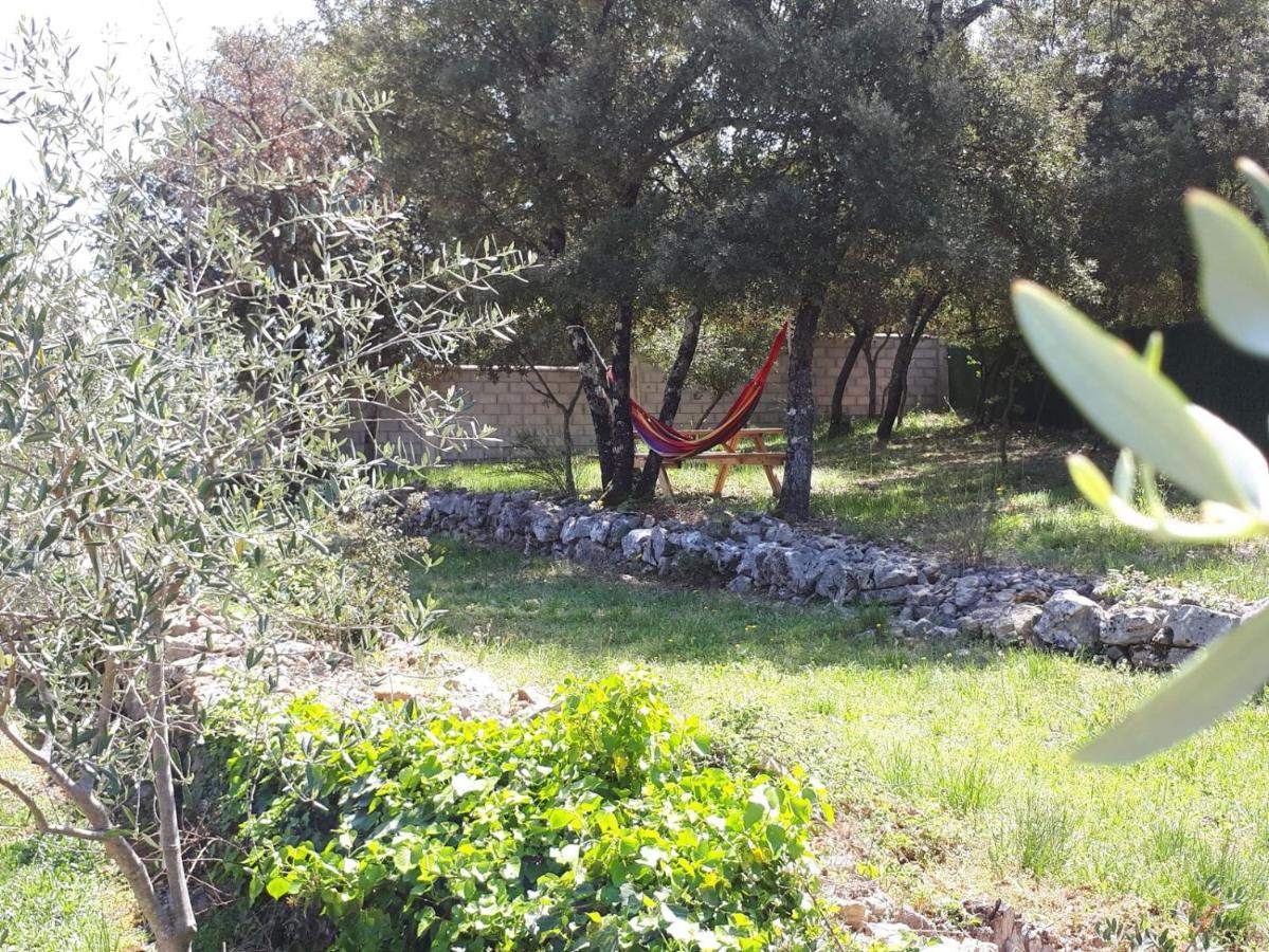 לורג Villa Catharina מראה חיצוני תמונה