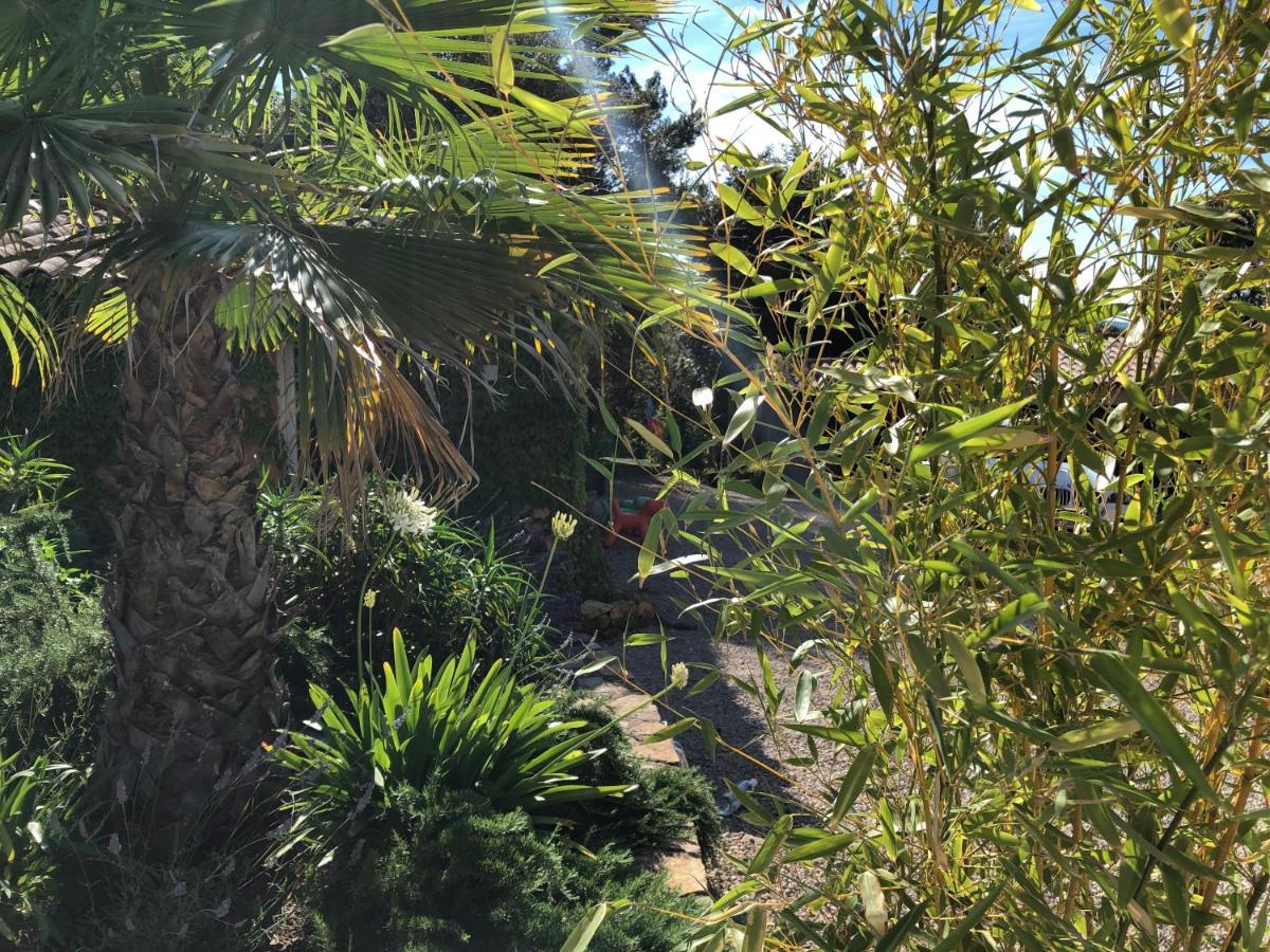 לורג Villa Catharina מראה חיצוני תמונה